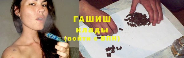 прущие грибы Алексин