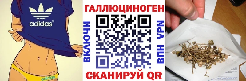 omg ТОР  darknet телеграм  Галлюциногенные грибы GOLDEN TEACHER  как найти наркотики  Бронницы 